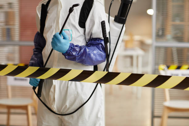 Professional Sewage Cleanup technician working in Payson, IL